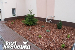 fenyőkérges előkert (39)